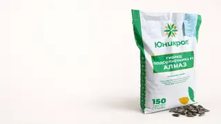 Алмаз